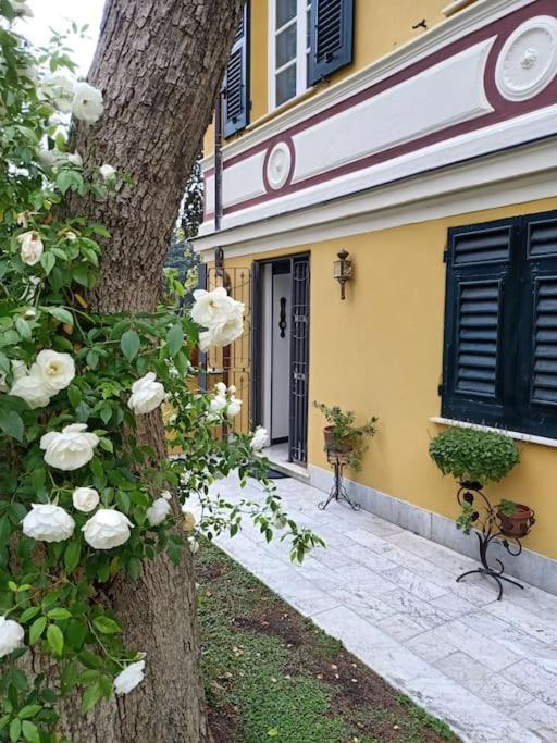 Casetta Jacaranda Γένοβα Εξωτερικό φωτογραφία