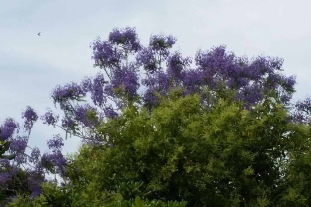 Casetta Jacaranda Γένοβα Εξωτερικό φωτογραφία